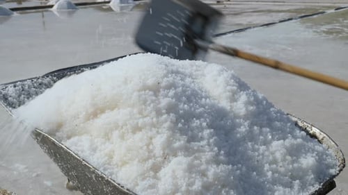 A sea salt farmer is collecting sea salt (17)