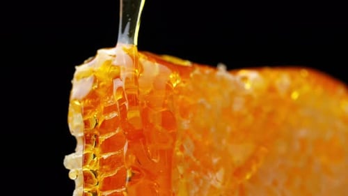 Goldener Honig, der von Honeycomb in detailreicher Nahaufnahme nieselt