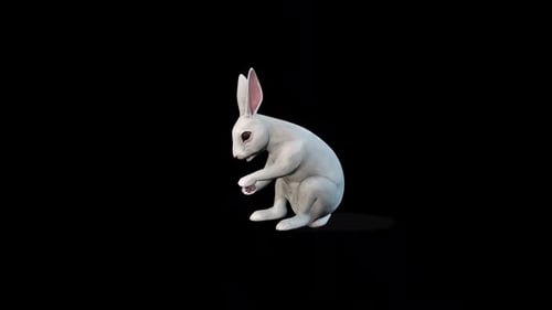 Rabbit Idle