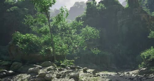 Lush Green Forest Landscape Motion Background