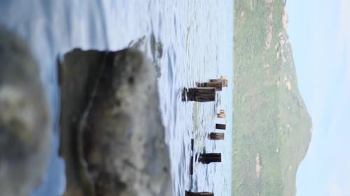 Water Lapping at Weathered Pier Posts in a Bay