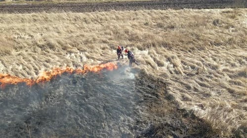 Aerial View of Firemen Extinguishing Grassland Field Burning with Red Fire During Dry Season