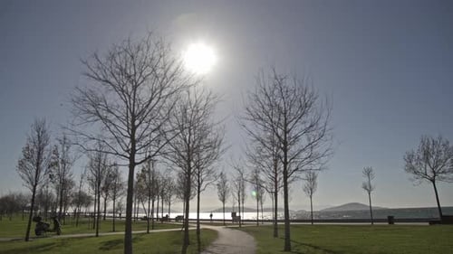 Leute, die im Küstenpark spazieren gehen und Sport treiben