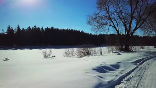 Winter Landscape In The Village Of Repino 03