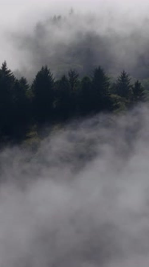 An Epic Aerial View Showcasing a Vast Misty Forest Landscape Surrounded By Natures Beauty