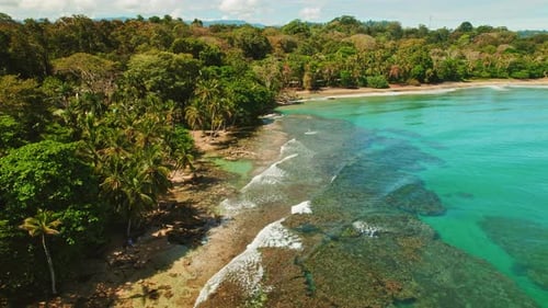 Shallow coral reef by palm lined beach Playa Cocles in tropical Costa Rica