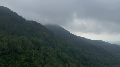 Aerial view of mountain forest shrouded by mist. Misty rainforest.