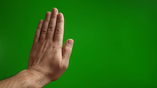 19a. Stop gesture with palm on green background.