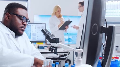 Scientists Working Diligently in Bright Modern Laboratory