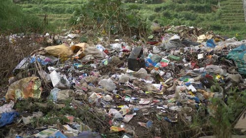 Overflowing Garbage Dump in Rural Outdoor Setting