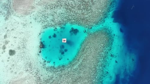 Reef And Holiday, Ocean
