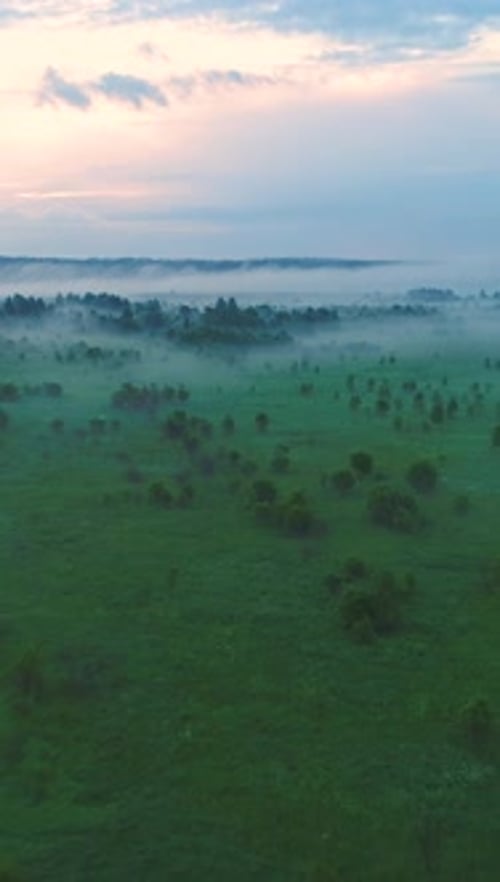 Flying Over Green Field and Trees in Mist Aerial View Warm Tint Vertical Video