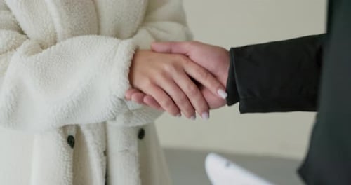 Close Up of a Business Handshake Indoors