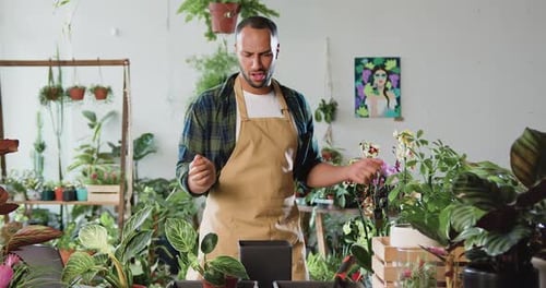 Attractive African American man working as florist at flower shop adding fertilizers to soil