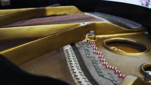 Inside A Glossy Grand Piano, Close Up