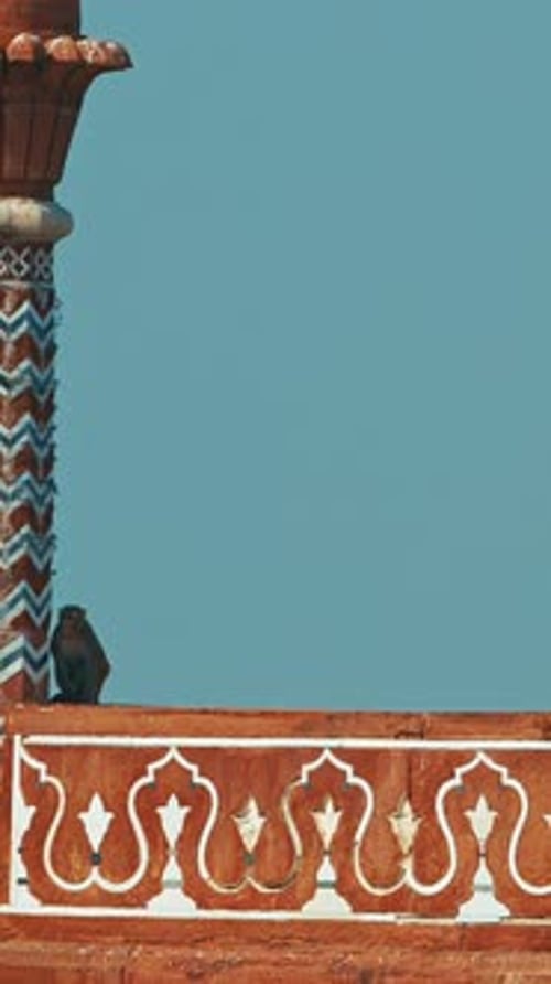 Agra, Uttar Pradesh, Inde, Slow