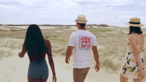 Three Friends Walk Together on a Sandy Beach
