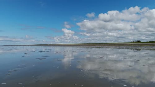 Wadden Sea with Cloud Reflections. Friesland, the Netherlands. Bird attack.