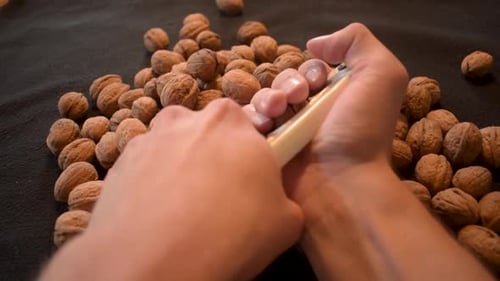 Young man is cracking some fresh dried walnuts . Healthy food. Christmas is coming.