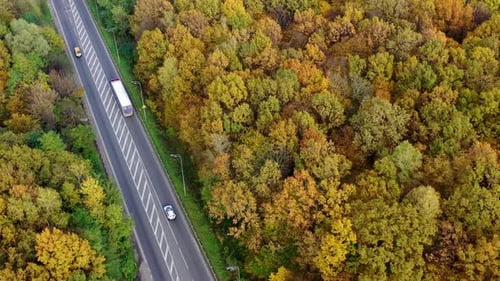 Road in autumn forest. Trucks and cars moving on a highway among beautiful scenery at fall season.