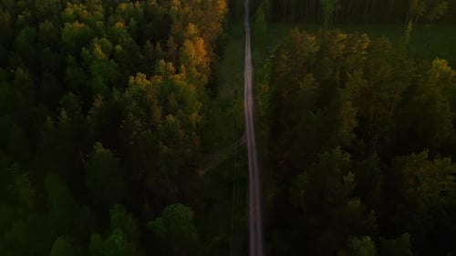 Stunning Forest Road Scene at Sunset Filmed By a Drone in Realtime Showcasing Peaceful Outdoor
