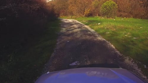 Driving offroad car through forest