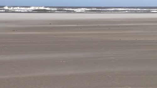 Empty sandy beach with strong storm, sand grains flying over beach and waves of sea in background. C