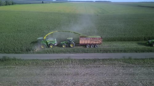 Corn Silage Harvesting with Forage Harvester on Field