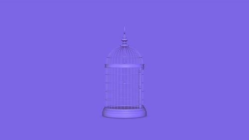 Light Purple Birdcages