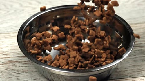 Dog Food Falls Into the Bowl Filmed on a Highspeed Camera at 1000 Fps