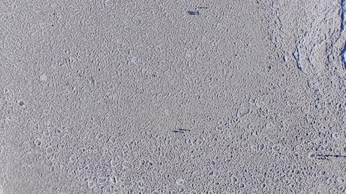 Frozen ice floe aerial sea surface