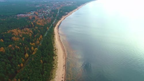 Ruhiges Meereswasser und dichter Wald im Herbst. - Flugaufnahme