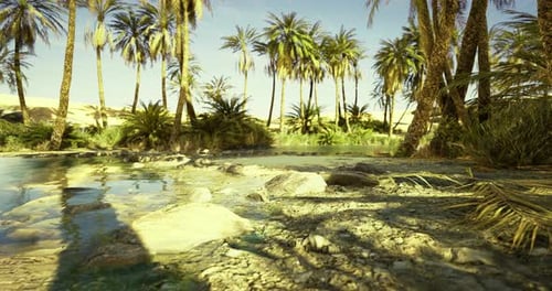 Oasis Amid Palm Trees in a Peaceful Desert Landscape