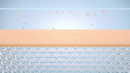 Skin Hydration Process Animation Showing Cellular Water Absorption