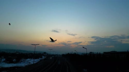 At sunset, a drone flying with crows over the road