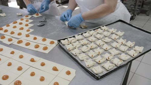 Industrial Production of Cookies and Sweet Buns in Bakery