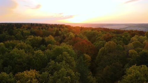 Blick von oben auf farbenfrohe Wälder bei Sonnenuntergang Gelbe und orange Vordächer im Herbstwald bei Sunny