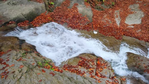 Mountain stream flowing over rocks during autumn