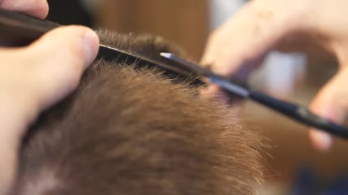Cutting Brown Hair With Scissors
