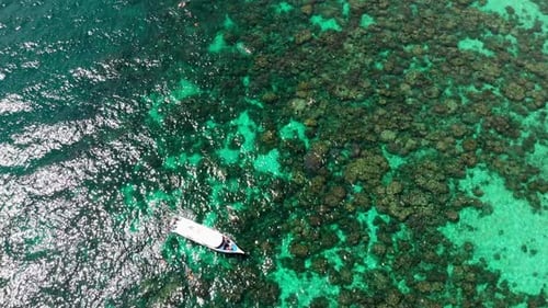 Boat on the Water Clear Water Coral Reef Underwater Life Phi Phi Islands Tour