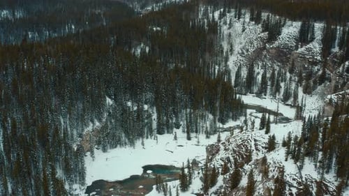 Snowy pine trees, meandering stream, tranquil mountains, Creek. Aerial tilt down