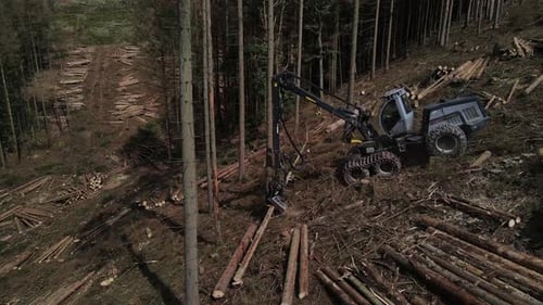 Top down view of Logging Equipment in Action at the Forest - processing spruce forest. Mechanic tool