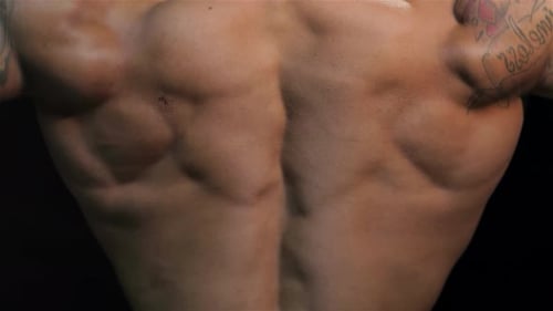 Impressive Closeup of a Muscular Back Showcasing Strength