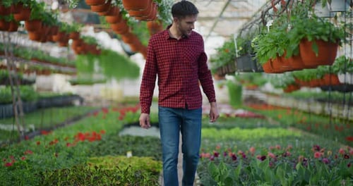 Adult Walks Through Tropical Greenhouse Full of Plants