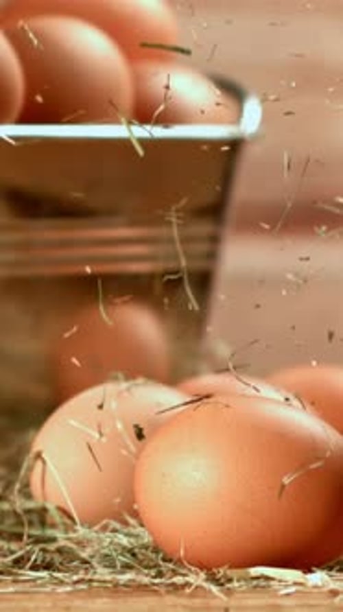 Dried Hay Falls on the Eggs Filmed on a Highspeed Camera at 1000 Fps