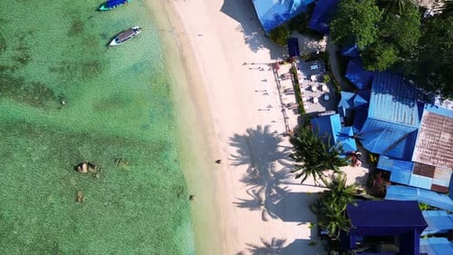 Tropical island bay palm beach, turquoise clear water. Lovely aerial top view flight drone top down