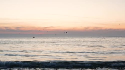Hermoso amanecer en el mar con pájaros voladores