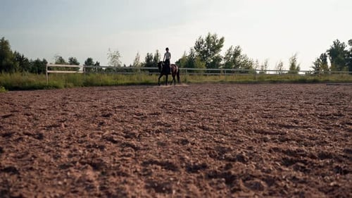 A rider dressed in professional equipment practices a gallop on his beautiful horse in an outdoor