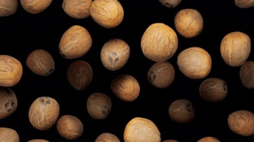 Realistic Coconuts Falling Against Black Background Animation