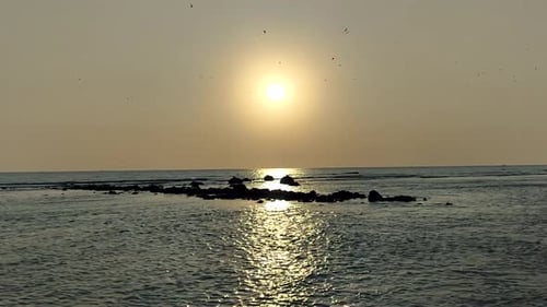 Puesta de sol sobre el océano con pájaros, olas tranquilas, reflejo del paisaje marino costero